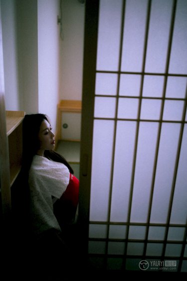 理论影片